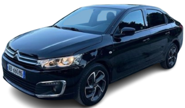 Citroen 2018 Manuale